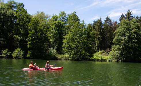 Activités nature autour des Sorbiers